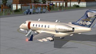 Screenshot 2 — Challenger 300 N300BZ