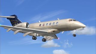 Screenshot 14 — Challenger 300 N300BZ