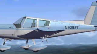Screenshot 4 — Blue & White Zlin 43 N92957