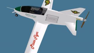 Screenshot 1 — Pizza Flyer BD-5