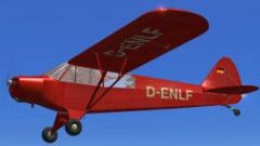 Screenshot 9 — ALAT Super Cub L-18 D-ENLF