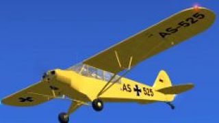 Screenshot 8 — Luftwaffe Piper Super Cub L-18C