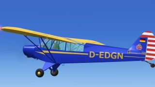 Screenshot 6 — Piper Super Cub PA-18-95 L-18C