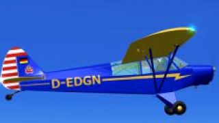 Screenshot 7 — Piper Super Cub PA-18-95 L-18C
