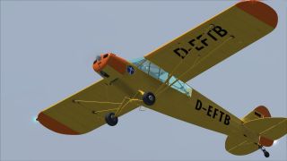 Screenshot 4 — Piper Super Cub PA-18-95 L-18C D-EFTB