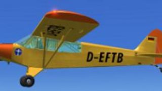 Screenshot 6 — Piper Super Cub PA-18-95 L-18C D-EFTB