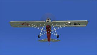 Screenshot 6 — Fieseler Storch Fi 156 HB-IKA