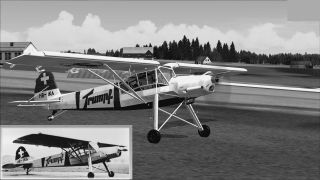 Screenshot 3 — Fieseler Storch Fi 156 HB-IKA