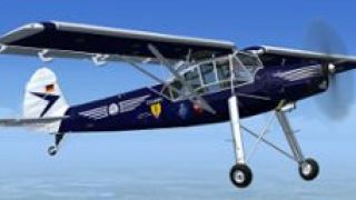 Screenshot 15 — Fieseler Storch Fi 156C-3 Trop D-EAWD