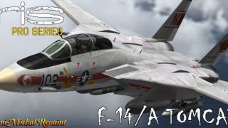 Screenshot 5 — US Navy F-14 VF-1 Wolfpack