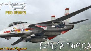 Screenshot 6 — US Navy F-14 VF-1 Wolfpack