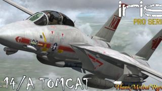 Screenshot 3 — US Navy F-14 VF-1 Wolfpack