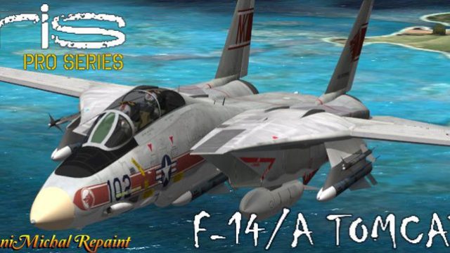 Screenshot 1 — US Navy F-14 VF-1 Wolfpack