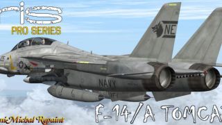 Screenshot 1 — US Navy Grumman F-14 Tomcat VF-1 "Wolfpack" CV-61 NB-105