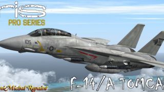 Screenshot 4 — US Navy Grumman F-14 Tomcat VF-1 "Wolfpack" CV-61 NB-105