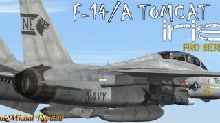 Screenshot 3 — US Navy Grumman F-14 Tomcat VF-1 "Wolfpack" CV-61 NB-105
