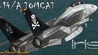 Screenshot 2 — US Navy Grumman F-14 Tomcat