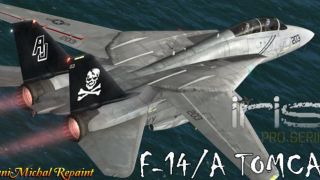 Screenshot 3 — US Navy Grumman F-14 Tomcat