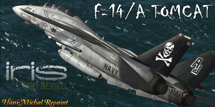 US Navy Grumman F-14 Tomcat for FSX