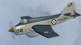 Screenshot 2 — Fairey Gannet AEW.3 "XL502"
