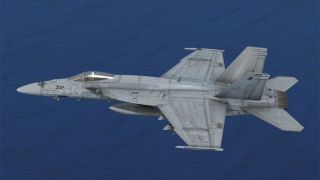 Screenshot 2 — US Navy VFA-146 Blue Diamonds Line Bird F/A-18E R
