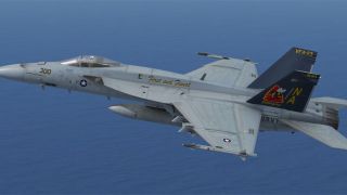 Screenshot 2 — US Navy VFA-113 Stingers CAG F/A-18E