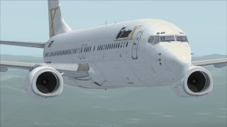 Screenshot 9 — Boeing 737-800 FSX Livery