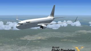 Screenshot 20 — Boeing 737-800 FSX Livery