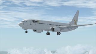 Screenshot 10 — Boeing 737-800 FSX Livery