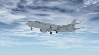 Screenshot 5 — Boeing 737-800 FSX Livery
