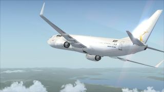 Screenshot 12 — Boeing 737-800 FSX Livery