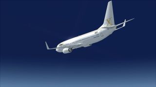 Screenshot 18 — Boeing 737-800 FSX Livery