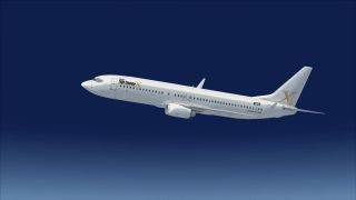 Screenshot 17 — Boeing 737-800 FSX Livery