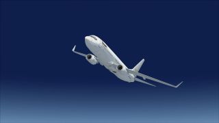 Screenshot 19 — Boeing 737-800 FSX Livery