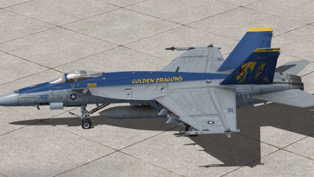Screenshot 1 — US Navy VFA-192 Golden Dragons F/A-18E