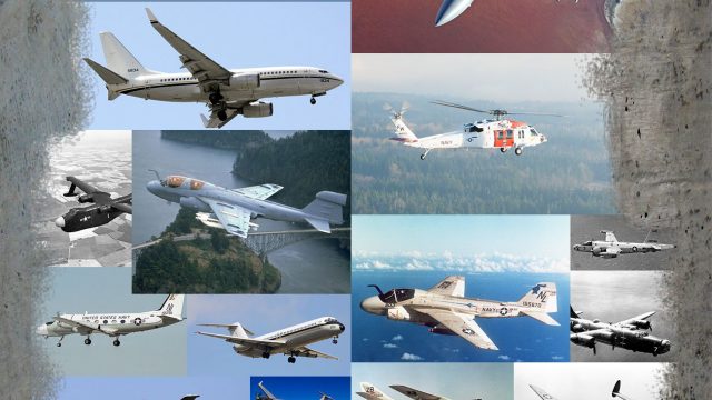 Screenshot 1 — US Navy EA-18G VAQ-136