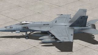 Screenshot 1 — US Navy VAQ-209 Star Warriors F/A-18E