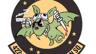 Screenshot 4 — IRIS Raptor Driver 422nd TES