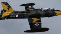 Screenshot 7 — Aermacchi MB-326 E-G-H-K