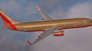 Screenshot 3 — Southwest Boeing 737-800 Gold/Blue