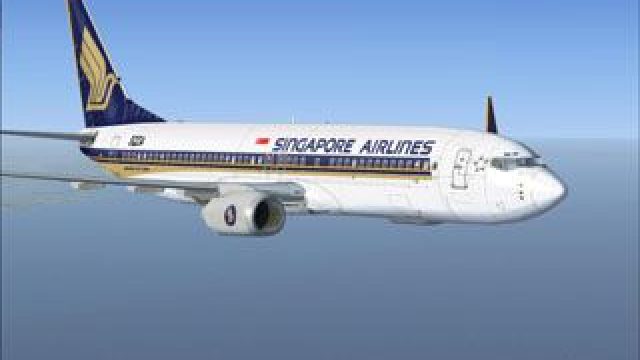 Screenshot 1 — Singapore Airlines Boeing 737-800