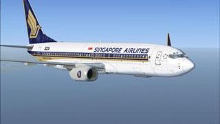 Screenshot 1 — Singapore Airlines Boeing 737-800