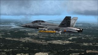 Screenshot 3 — Spanish Air Force EF-18B 15-70 150000 Hour