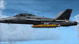 Screenshot 6 — Spanish Air Force EF-18B 15-70 150000 Hour