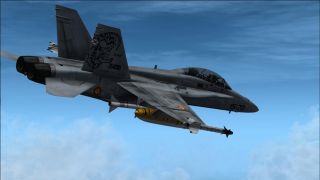 Screenshot 7 — Spanish Air Force EF-18B 15-70 150000 Hour