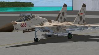 Screenshot 2 — Naval Flanker J15