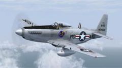 Screenshot 3 — North American F-51H Maryland ANG 1952