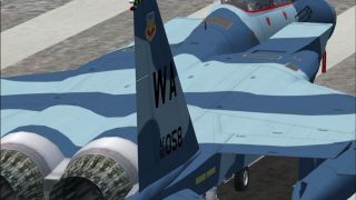 Screenshot 4 — IRIS F-15C Eagle TP