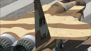 Screenshot 2 — IRIS F-15C Eagle TP