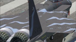 Screenshot 3 — IRIS F-15C Eagle TP